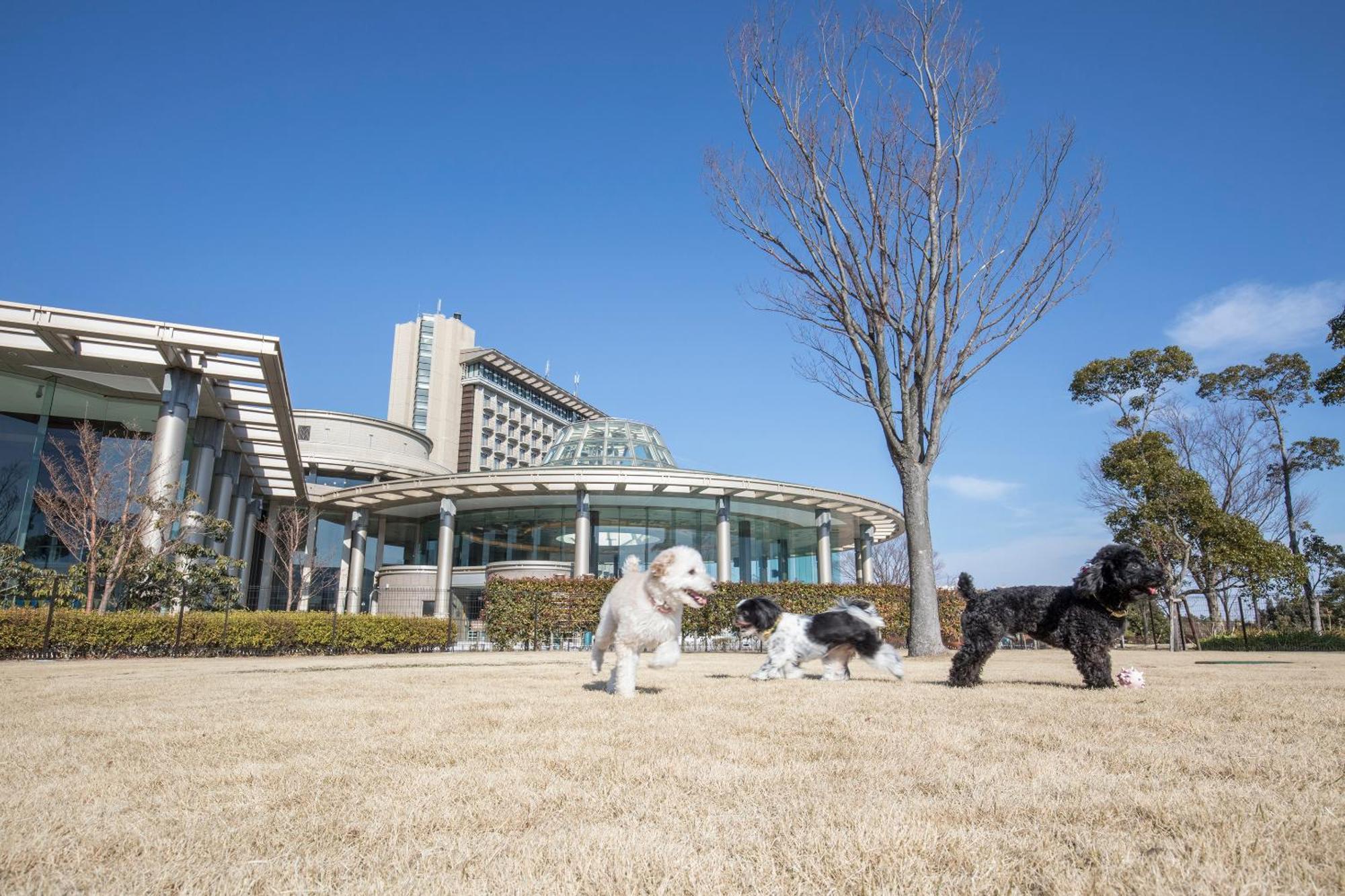 Hilton Odawara Resort&Spa Exterior foto